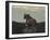 Lioness on the Road-Martin Fowkes-Framed Giclee Print