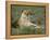 Lioness (Panthera Leo), Etosha, Namibia, Africa-Steve & Ann Toon-Framed Premier Image Canvas