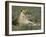 Lioness (Panthera Leo), Etosha, Namibia, Africa-Steve & Ann Toon-Framed Photographic Print