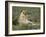 Lioness (Panthera Leo), Etosha, Namibia, Africa-Steve & Ann Toon-Framed Photographic Print