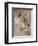 Lioness (Panthera Leo), Kgalagadi Transfrontier Park, South Africa, Africa-Ann & Steve Toon-Framed Photographic Print