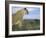 Lioness (Panthera Leo) with Small Cub, Kalahari Gemsbok Park, South Africa, Africa-Steve & Ann Toon-Framed Photographic Print