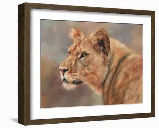 Lioness Portrait-David Stribbling-Framed Art Print