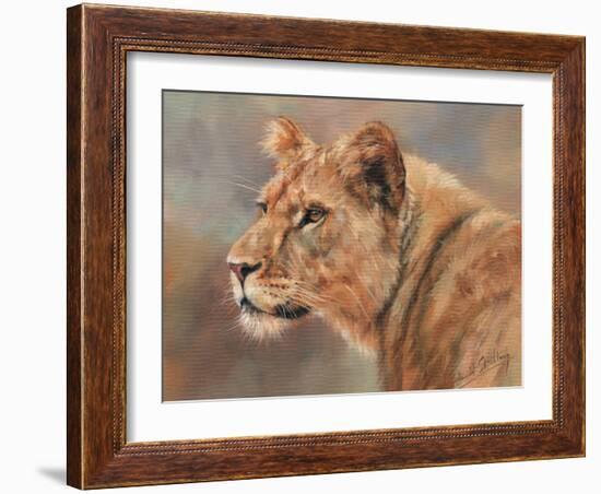 Lioness Portrait-David Stribbling-Framed Art Print