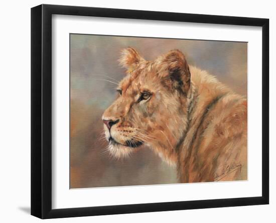 Lioness Portrait-David Stribbling-Framed Art Print