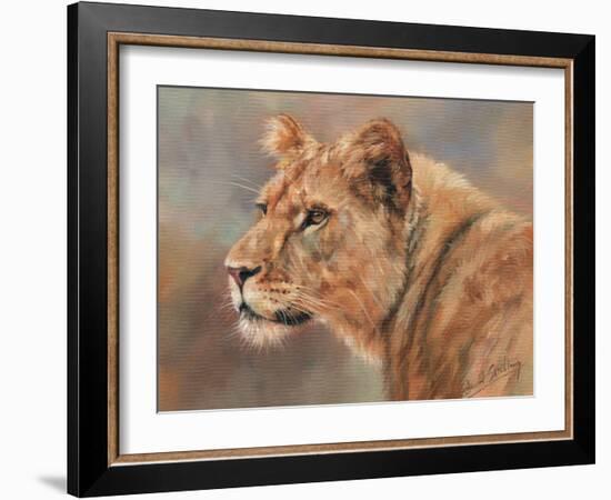 Lioness Portrait-David Stribbling-Framed Art Print