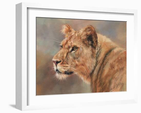 Lioness Portrait-David Stribbling-Framed Art Print