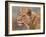 Lioness Portrait-David Stribbling-Framed Art Print