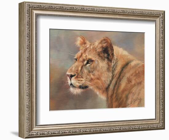 Lioness Portrait-David Stribbling-Framed Premium Giclee Print