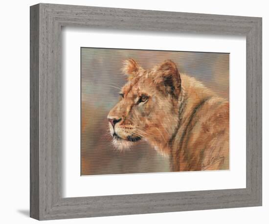 Lioness Portrait-David Stribbling-Framed Premium Giclee Print