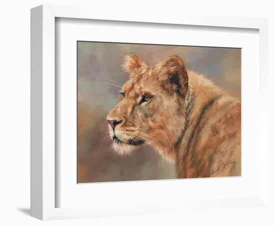 Lioness Portrait-David Stribbling-Framed Premium Giclee Print
