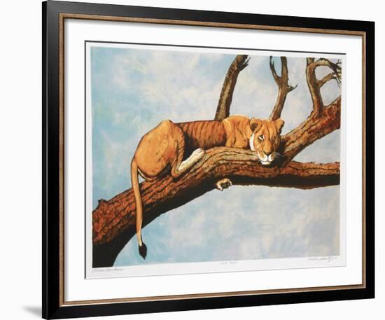 Lioness Sambaru-Caroline Schultz-Framed Collectable Print