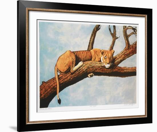 Lioness Sambaru-Caroline Schultz-Framed Collectable Print