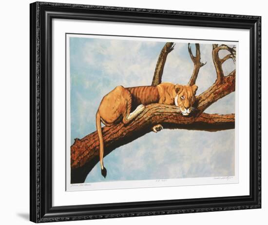 Lioness Sambaru-Caroline Schultz-Framed Collectable Print