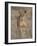 Lioness, Samburu National Reserve, Kenya, East Africa, Africa-James Hager-Framed Photographic Print