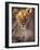 Lioness Tanzania Africa-null-Framed Photographic Print