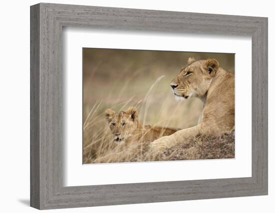 Lioness with Cub in Masai Mara National Reserve-Paul Souders-Framed Photographic Print