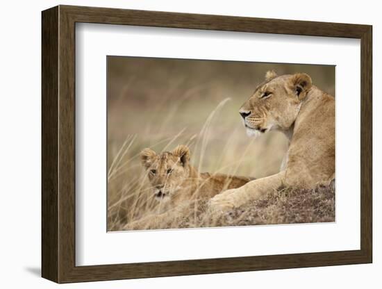 Lioness with Cub in Masai Mara National Reserve-Paul Souders-Framed Photographic Print