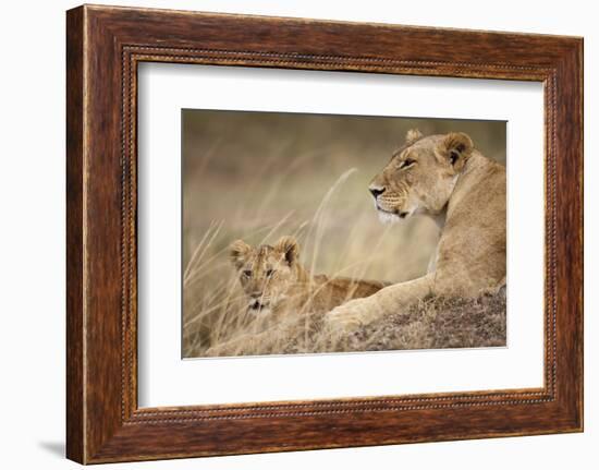 Lioness with Cub in Masai Mara National Reserve-Paul Souders-Framed Photographic Print