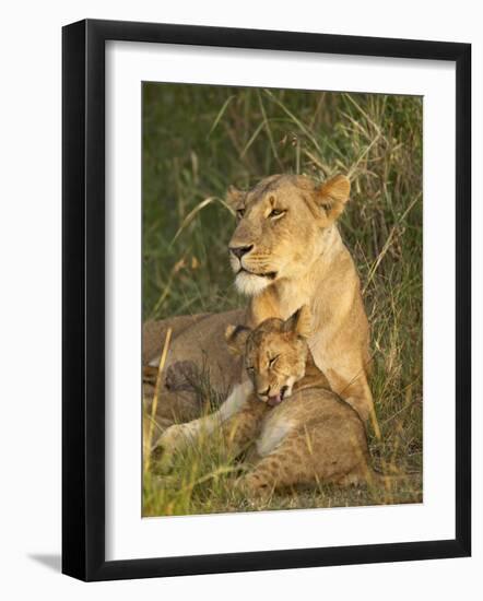 Lioness with Cub, Masai Mara National Reserve, Kenya, East Africa, Africa-James Hager-Framed Photographic Print