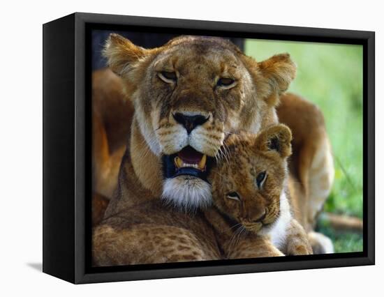 Lioness with Cub-Joe McDonald-Framed Premier Image Canvas