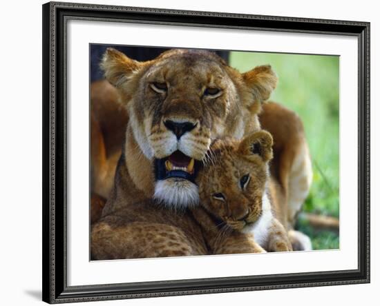 Lioness with Cub-Joe McDonald-Framed Photographic Print
