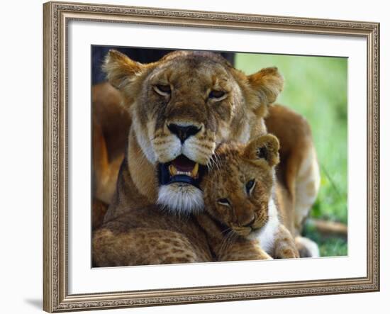 Lioness with Cub-Joe McDonald-Framed Photographic Print