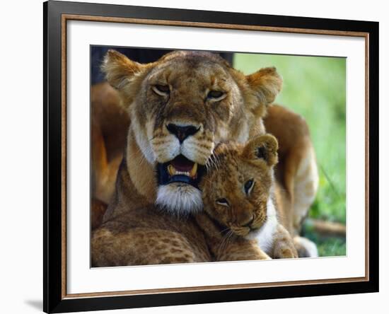 Lioness with Cub-Joe McDonald-Framed Photographic Print