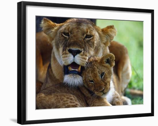 Lioness with Cub-Joe McDonald-Framed Photographic Print