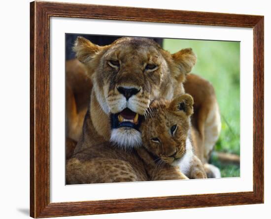 Lioness with Cub-Joe McDonald-Framed Photographic Print