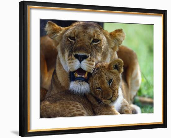 Lioness with Cub-Joe McDonald-Framed Photographic Print