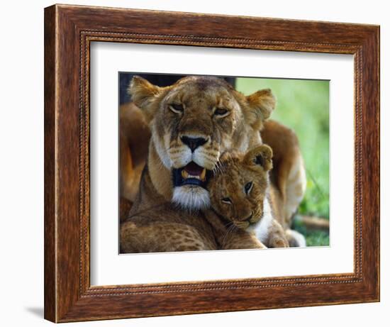 Lioness with Cub-Joe McDonald-Framed Photographic Print