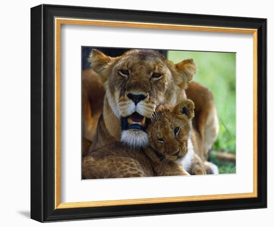 Lioness with Cub-Joe McDonald-Framed Photographic Print