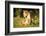 Lioness with cubs, Masai Mara, Kenya, East Africa, Africa-Karen Deakin-Framed Photographic Print