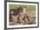 Lioness with Cubs (Panthera Leo) at Water, Kgalagadi Transfrontier Park, Northern Cape, Africa-Ann & Steve Toon-Framed Photographic Print