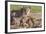 Lioness with Cubs (Panthera Leo) at Water, Kgalagadi Transfrontier Park, Northern Cape, Africa-Ann & Steve Toon-Framed Photographic Print