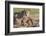 Lioness with Cubs (Panthera Leo) at Water, Kgalagadi Transfrontier Park, Northern Cape, Africa-Ann & Steve Toon-Framed Photographic Print