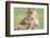 Lioness with its Cub Standing Together, Ngorongoro, Tanzania-James Heupel-Framed Photographic Print