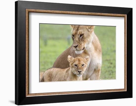 Lioness with its Cub Standing Together, Ngorongoro, Tanzania-James Heupel-Framed Photographic Print