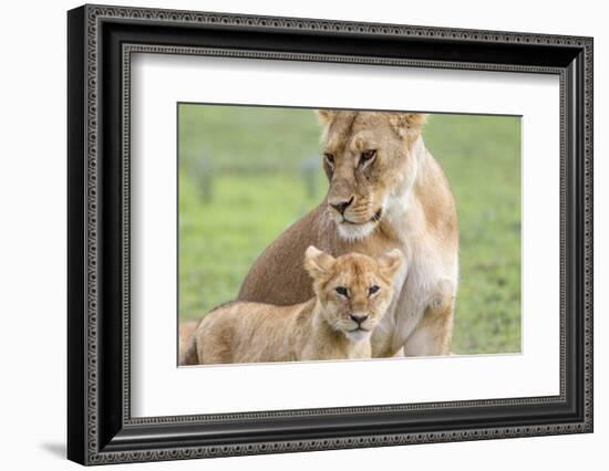 Lioness with its Cub Standing Together, Ngorongoro, Tanzania-James Heupel-Framed Photographic Print