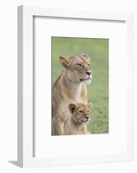 Lioness with its Female Cub, Standing Together, Side by Side-James Heupel-Framed Photographic Print