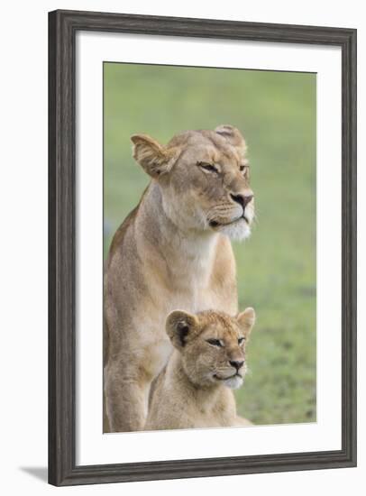 Lioness with its Female Cub, Standing Together, Side by Side-James Heupel-Framed Photographic Print