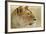 Lioness-null-Framed Photographic Print