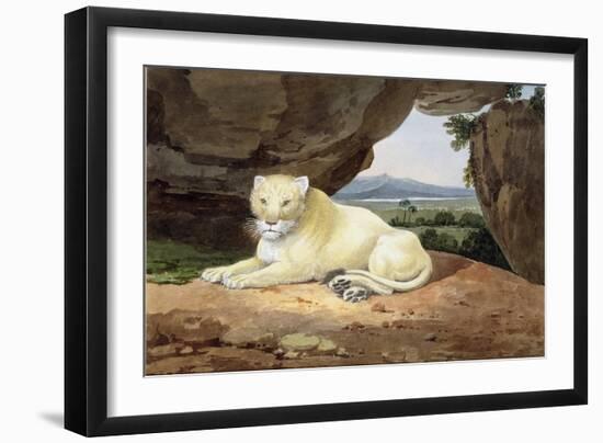 Lioness-Samuel Howitt-Framed Giclee Print