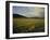 Lionesses in the Masai Mara National Reserve in the Evening, Kenya, East Africa, Africa-Julia Bayne-Framed Photographic Print