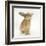 Lionhead-Cross Rabbit, Sniffing-Mark Taylor-Framed Photographic Print