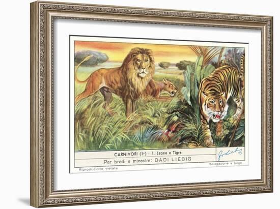Lions and Tiger-null-Framed Premium Giclee Print