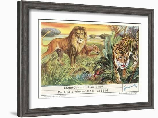 Lions and Tiger-null-Framed Premium Giclee Print