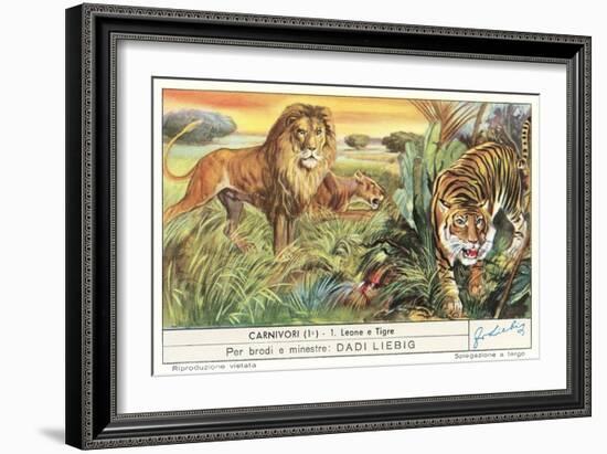 Lions and Tiger-null-Framed Premium Giclee Print