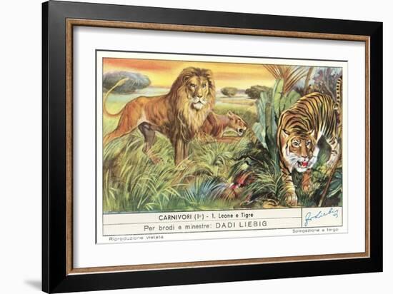 Lions and Tiger-null-Framed Art Print